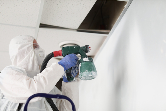 Commercial spray painter on a ladder