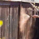 Professional Painter Spraying Yard Fence with Stain